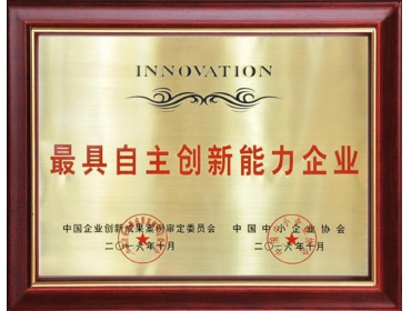Enterprise with the most independent innovation capability